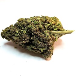 Fleur de CBD : Weeding Cake - Fleur CBD Indoor