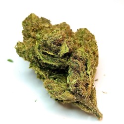 Gelato