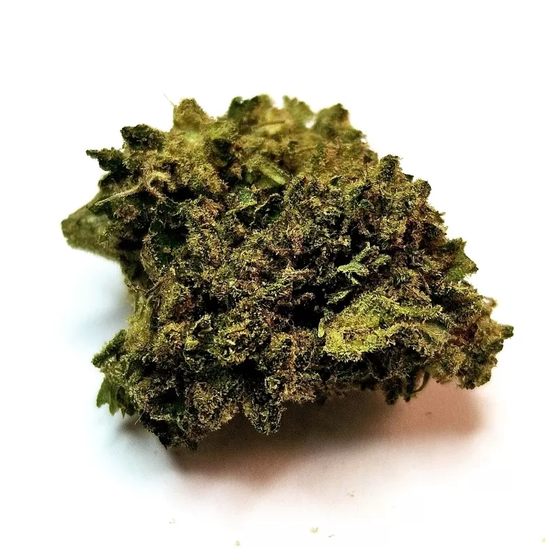 Fleur de CBD : Gorilla Glue - Fleur CBD Outdoor Fleur de CBD : Gorilla Glue - Fleur CBD Outdoor