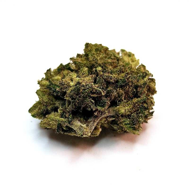 Fleur de CBD : Gorilla Glue - Fleur CBD Outdoor