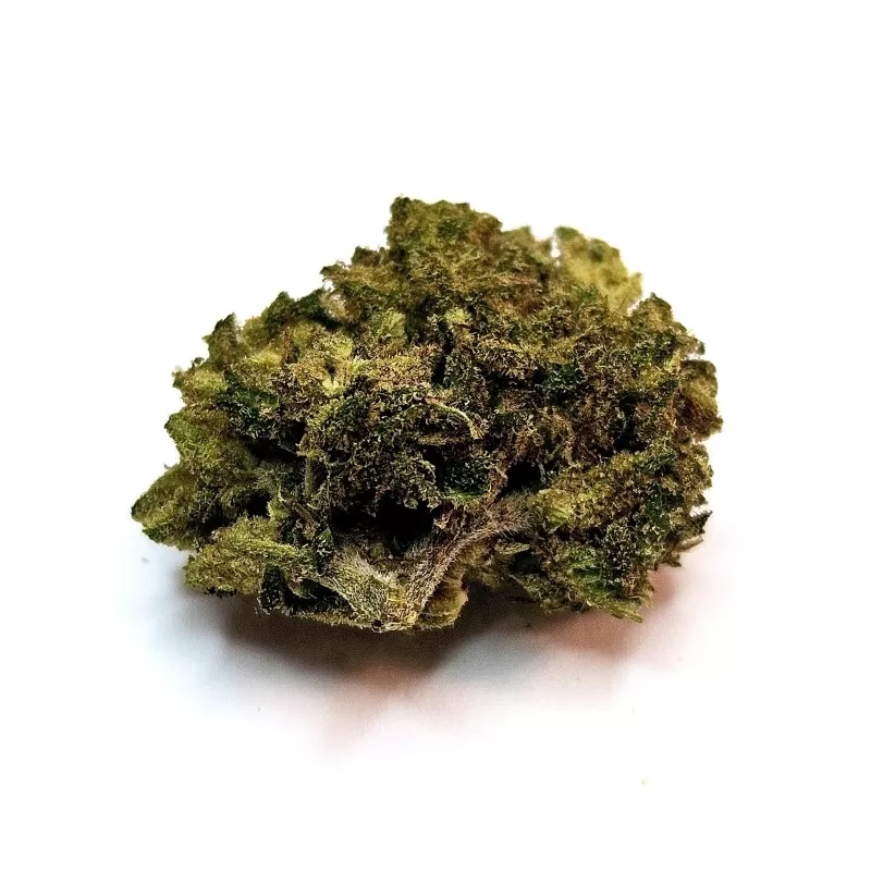 Fleur de CBD : Gorilla Glue - Fleur CBD Outdoor Fleur de CBD : Gorilla Glue - Fleur CBD Outdoor