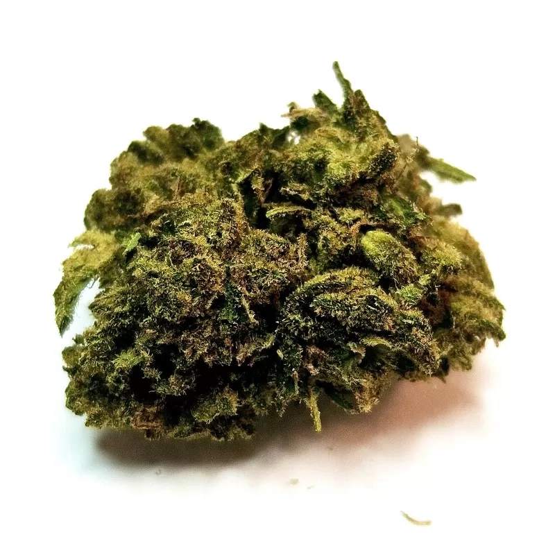 Fleur de CBD : Gorilla Glue - Fleur CBD Outdoor Fleur de CBD : Gorilla Glue - Fleur CBD Outdoor