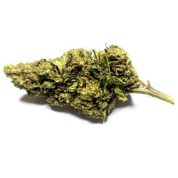 Cannatonic
