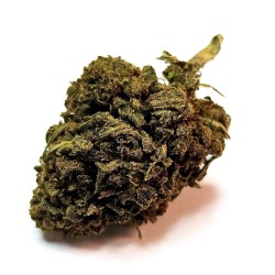 Swiss Cheese