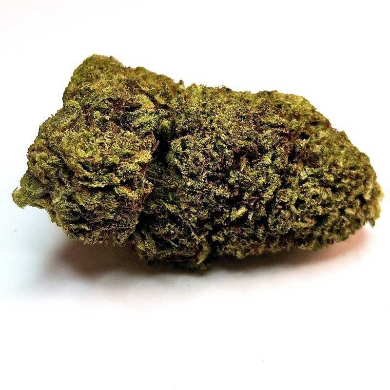 Fleur CBG : Fruit Cake - Fleur CBG