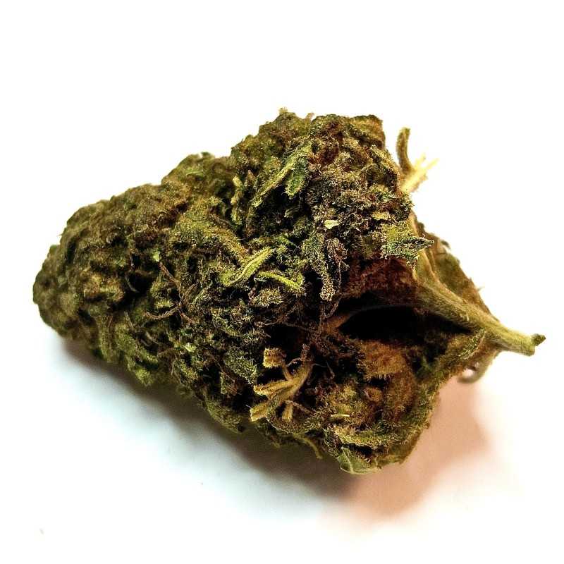Fleur CBG : Jack herer - Fleur CBG