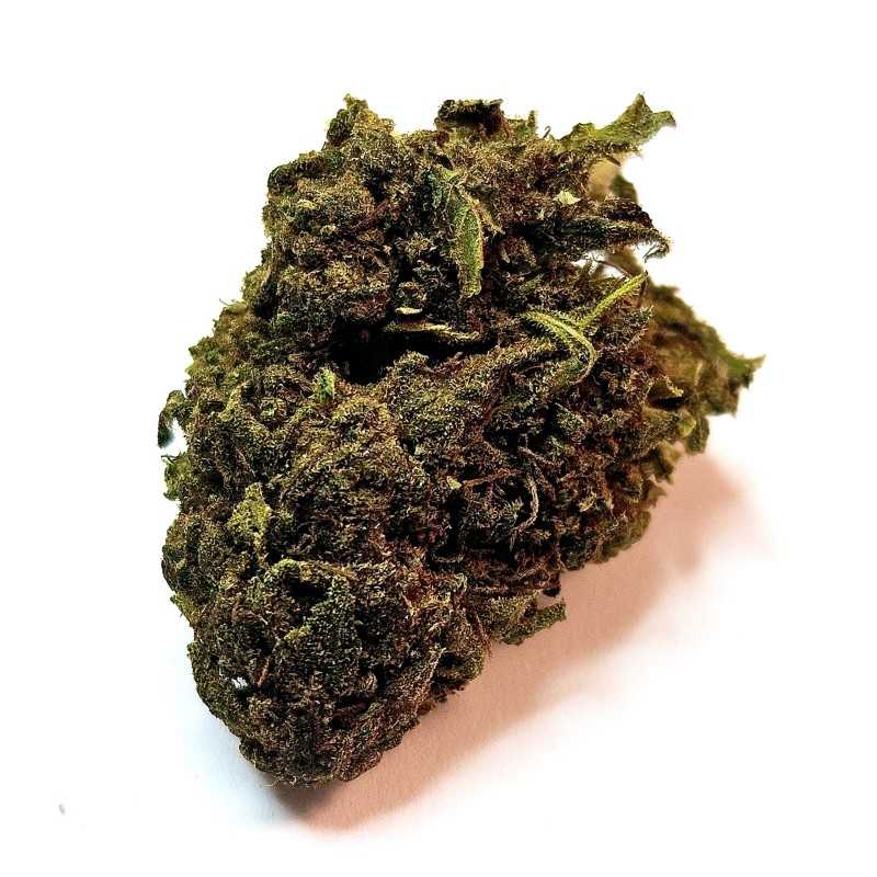 Fleur CBG : Jack herer - Fleur CBG