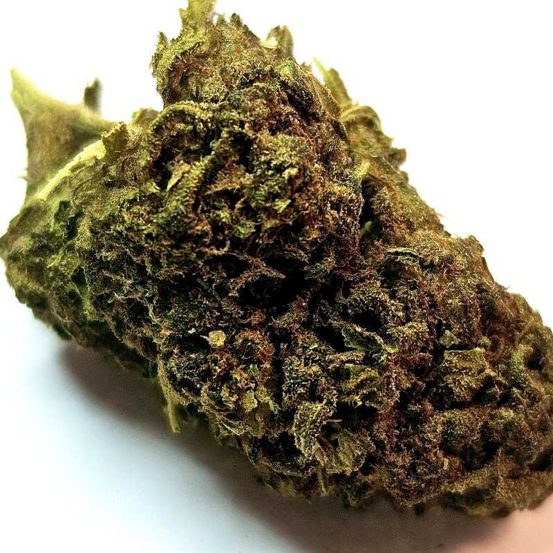 Fleur CBG : Jack herer - Fleur CBG
