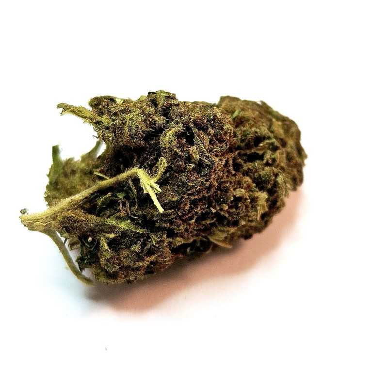 Fleur CBG : Jack herer - Fleur CBG