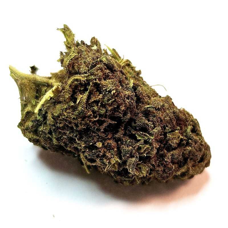 Fleur CBG : Jack herer - Fleur CBG