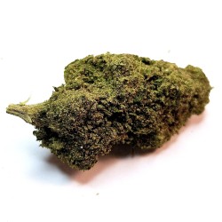 Bruce Banner
