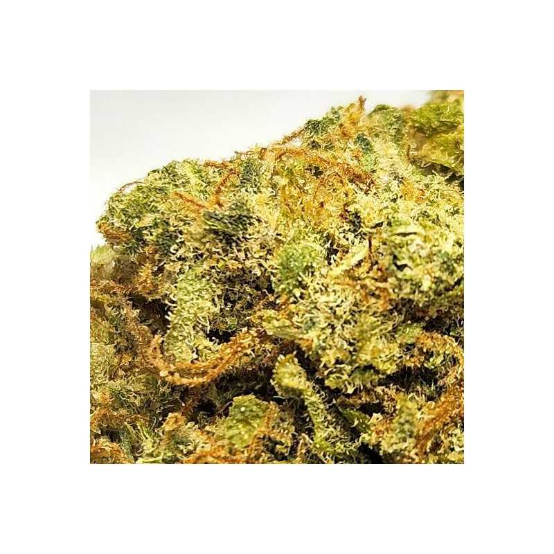 AK-OG - Fleur CBD Indoor - Fleurs CBD puissantes | Fleur de cbd France AK-OG - Fleur CBD Indoor - Fleurs CBD puissantes | Fleur de cbd France