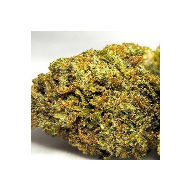 AK-OG - Fleur CBD Indoor - Fleurs CBD puissantes | Fleur de cbd France AK-OG - Fleur CBD Indoor - Fleurs CBD puissantes | Fleur de cbd France