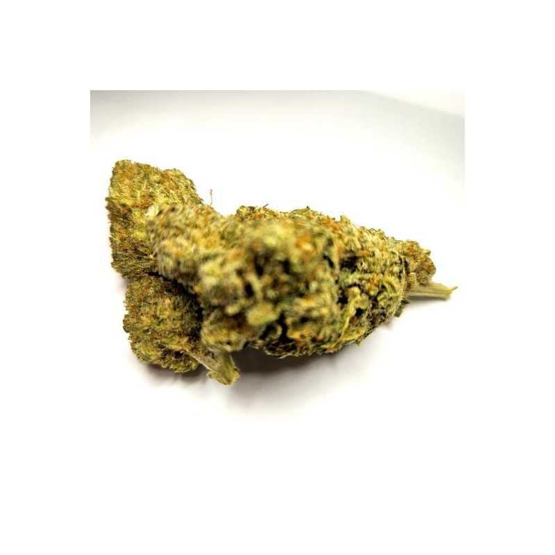 AK-OG - Fleur CBD Indoor - Fleurs CBD puissantes | Fleur de cbd France AK-OG - Fleur CBD Indoor - Fleurs CBD puissantes | Fleur de cbd France