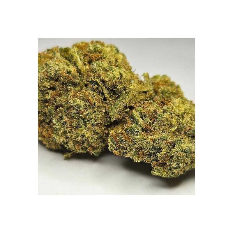 AK-OG - Fleur CBD Indoor - Fleurs CBD puissantes | Fleur de cbd France AK-OG - Fleur CBD Indoor - Fleurs CBD puissantes | Fleur de cbd France