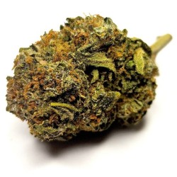 Blue Dream Kush