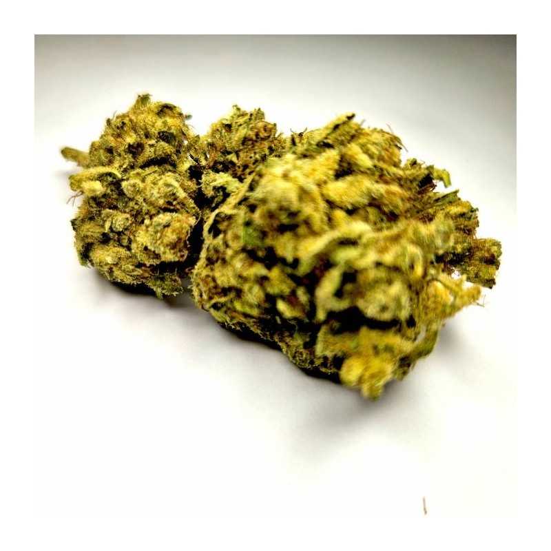 Sour Diesel - Fleur CBD Indoor - Fleurs CBD puissantes | Fleur de c... Sour Diesel - Fleur CBD Indoor - Fleurs CBD puissantes | Fleur de c...