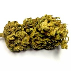 Sour Diesel