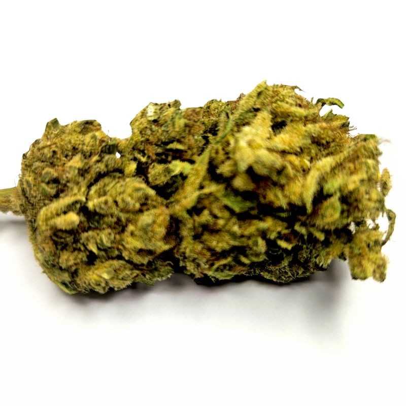 Sour Diesel - Fleur CBD Indoor - Fleurs CBD puissantes | Fleur de c... Sour Diesel - Fleur CBD Indoor - Fleurs CBD puissantes | Fleur de c...