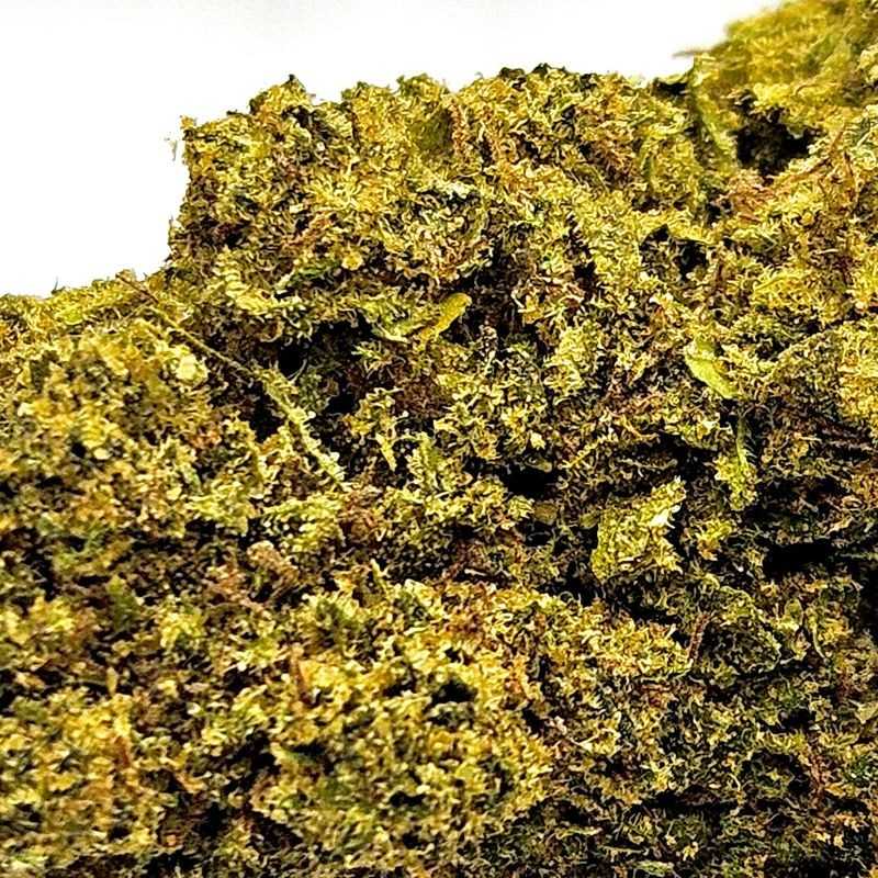 Bubble Gum - Fleur CBD Greenhouse - Big Buds CBD | Fleur de cbd France Bubble Gum - Fleur CBD Greenhouse - Big Buds CBD | Fleur de cbd France