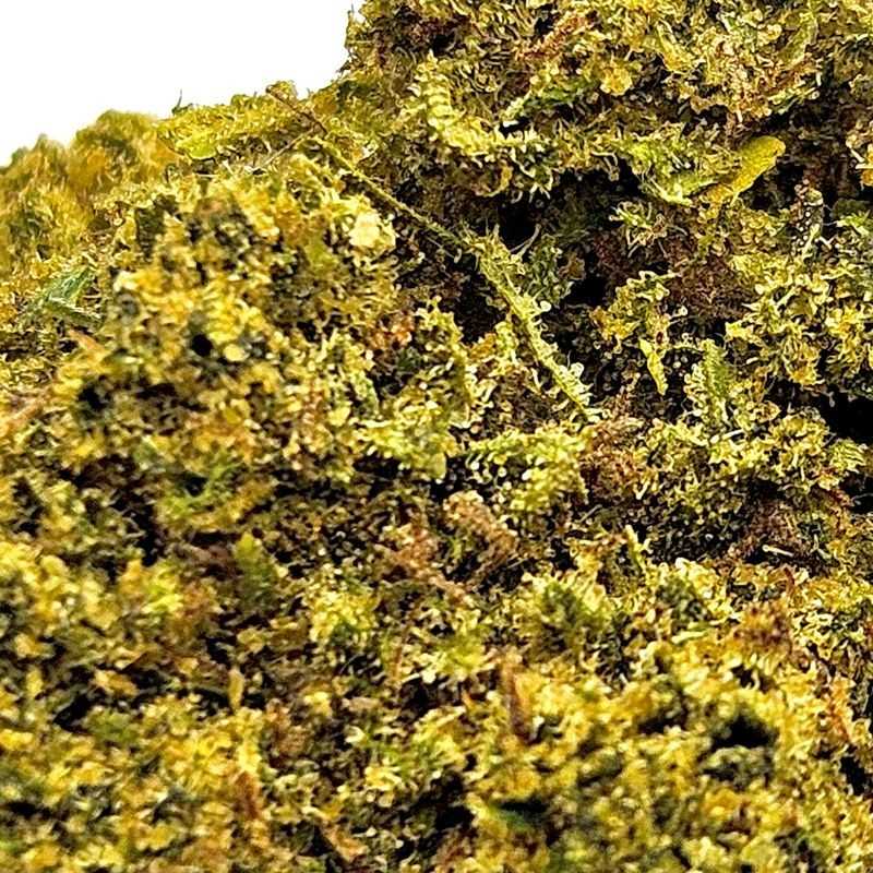 Bubble Gum - Fleur CBD Greenhouse - Big Buds CBD | Fleur de cbd France Bubble Gum - Fleur CBD Greenhouse - Big Buds CBD | Fleur de cbd France