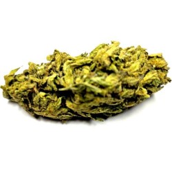 Fleur de CBD : Amnesia - Fleur CBD Outdoor