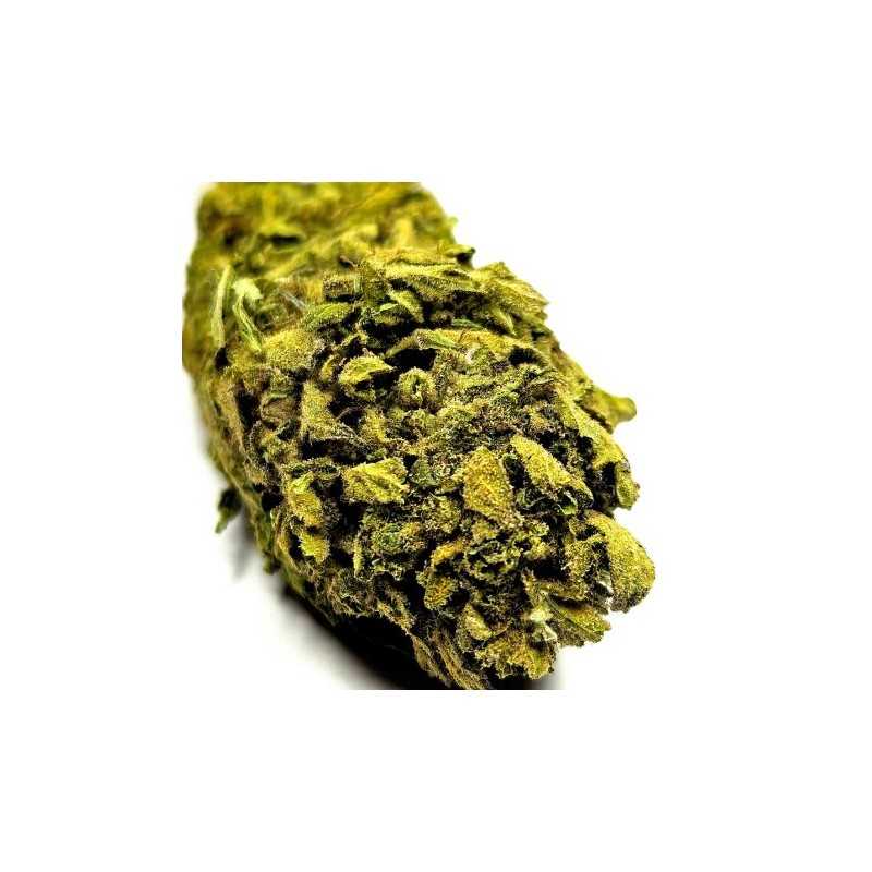 Fleur de CBD : Amnesia - Fleur CBD Outdoor