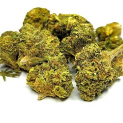 Strawberry - Fleur CBD...