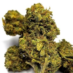 AK-47
