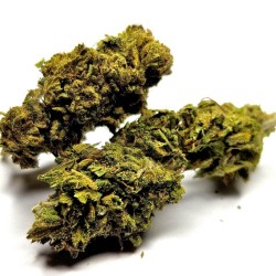 Lemon Haze