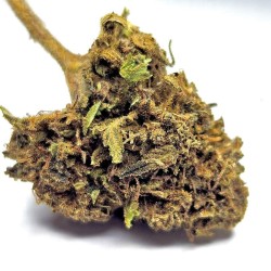 Fleur de CBD : Valentine Cake - Fleur CBD Outdoor
