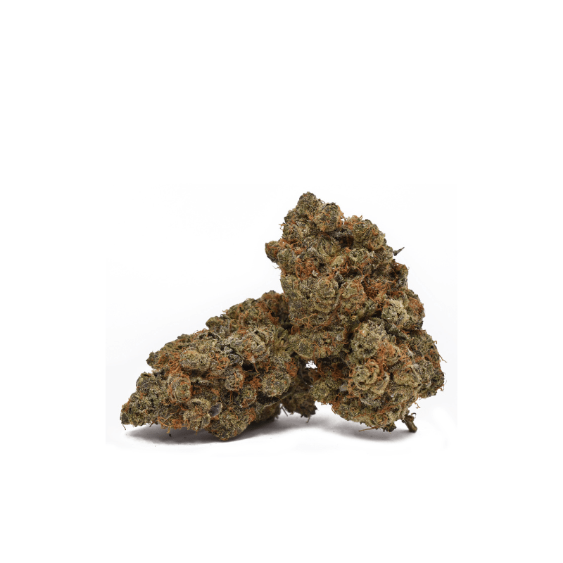 Fleur de CBD : Black Domina - Fleur CBD Outdoor