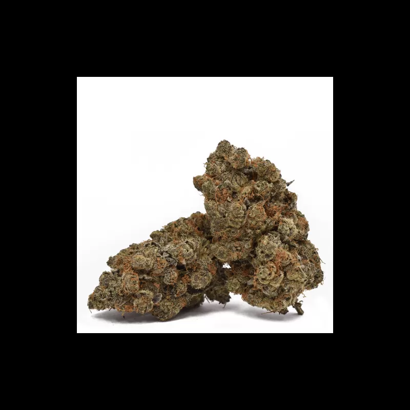 Fleur de CBD : Black Domina - Fleur CBD Outdoor