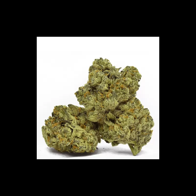 Fleur de CBD : White Widow - Fleur CBD Outdoor