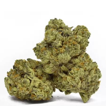 Fleur de CBD : White Widow - Fleur CBD Outdoor Fleur de CBD : White Widow - Fleur CBD Outdoor