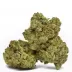 Fleur de CBD : White Widow - Fleur CBD Outdoor Fleur de CBD : White Widow - Fleur CBD Outdoor