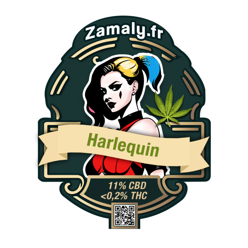 Fleur de CBD : Harlequin - Fleur CBD Outdoor