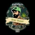 Fleur de CBD : Sour Diesel - Fleur CBD Indoor Fleur de CBD : Sour Diesel - Fleur CBD Indoor