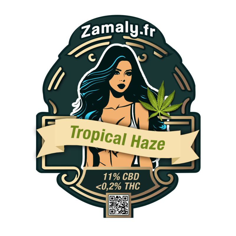 Fleur de CBD : Tropical Haze - Fleur CBD Outdoor