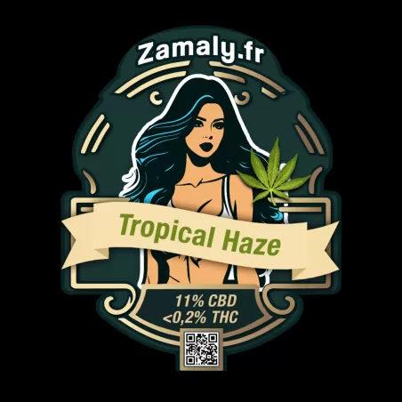 Fleur de CBD : Tropical Haze - Fleur CBD Outdoor