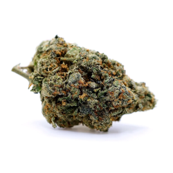 Royal Cookie HSD
