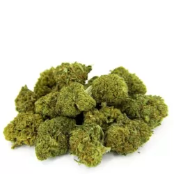 MiniBud - Fleur CBD Premium