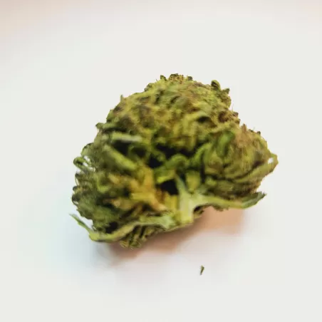 Fleur de CBD : Valentine Cake - Fleur CBD Outdoor Fleur de CBD : Valentine Cake - Fleur CBD Outdoor