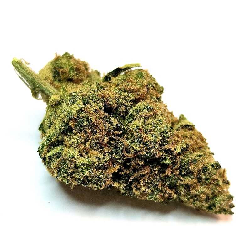 Fleur de CBD : Blueberry Diesel - Fleur CBD Indoor