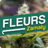 Fleurs CBD