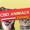 ZAMALY - CBD for Pets - Online CBD Store