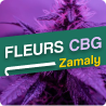 Fleurs CBG