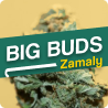 Zamaly - big buds cbd - boutique cbd en ligne