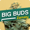 Zamaly - big buds cbd - cbd store online