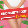 CBD Oil Endometriosis